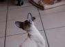 Honey.Nov.09 (173)_640x426.JPG