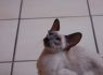 Honey.Nov.09 (192)_640x426.JPG