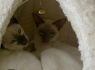CIMG4167_640x480.JPG