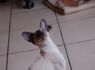DSC_0238_640x425.JPG