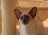 Honey.Nov.09 (4)_640x426.JPG