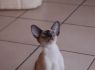 Honey.Nov.09 (182)_640x426.JPG