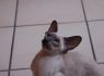 Honey.Nov.09 (191)_640x426.JPG