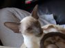 Honey.Nov.09 (108)_640x426.JPG