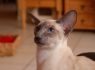 DSC_0134_640x426.JPG