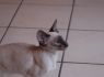 Honey.Nov.09 (188)_640x426.JPG
