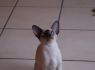 Honey.Nov.09 (167)_640x426.JPG
