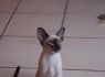 DSC_0234_640x425.JPG