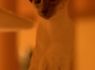 IMG_2400_320x480.jpg
