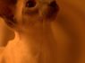 IMG_2335_320x480.jpg