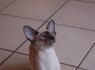 Honey.Nov.09 (184)_640x426.JPG