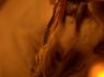 IMG_2321_320x480.jpg