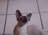 Honey.Nov.09 (195)_640x426.JPG