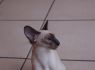 DSC_0252_640x425.JPG