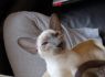 DSC_0170_640x425.JPG