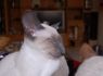 Honey.Nov.09 (90)_640x426.JPG