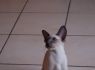Honey.Nov.09 (168)_640x426.JPG
