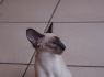 Honey.Nov.09 (187)_640x426.JPG