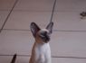 Honey.Nov.09 (169)_640x426.JPG